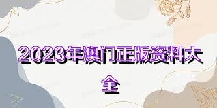 澳門資料大全正版資料查詢，探索澳門的文化與歷史深度之旅，澳門文化與歷史深度探索，正版資料大全及查詢指南