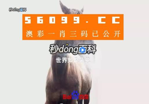 香港內(nèi)部公開資料一碼，深度解析與探索，香港內(nèi)部公開資料一碼深度解析與探索揭秘