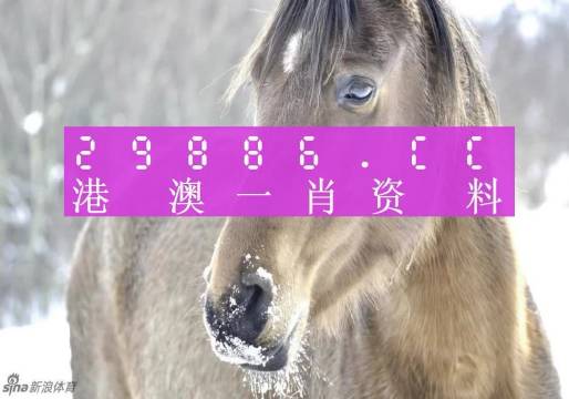 澳門一肖一碼背后的故事，精準(zhǔn)背后的秘密與傳奇，澳門一肖一碼背后的秘密與傳奇故事揭秘
