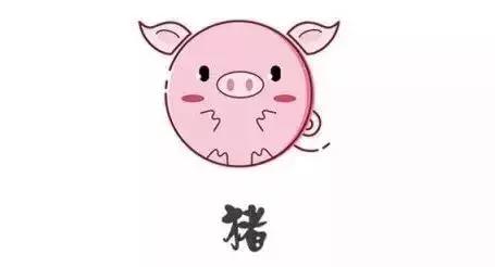 今晚一定出準確生肖預(yù)測，揭秘生肖運勢的秘密，揭秘生肖運勢秘密，今晚準確生肖預(yù)測揭曉！
