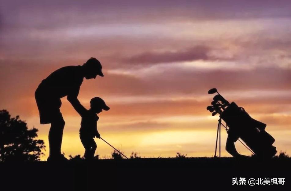 森林高手王中王與神秘生肖——深度解讀背后的故事與秘密，森林高手王中王與神秘生肖，故事背后的深度解讀與秘密探尋