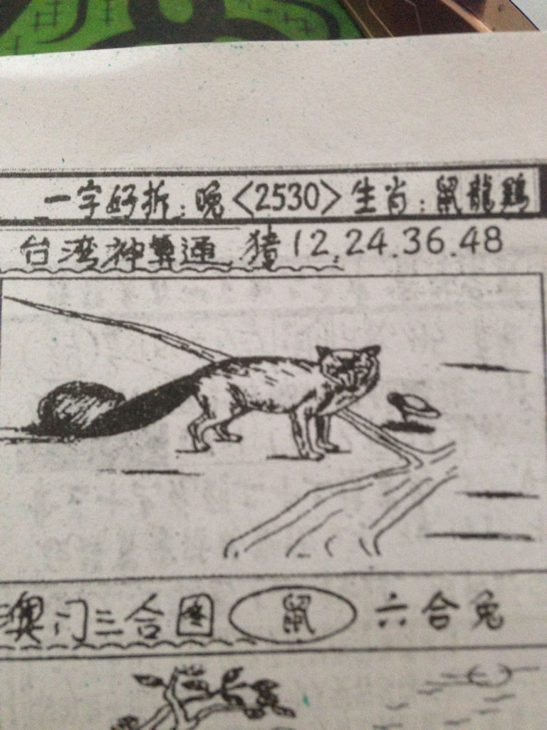 揭秘生肖奧秘，看圖猜一生肖劉伯溫的傳奇故事，揭秘生肖奧秘，劉伯溫傳奇故事中的生肖之謎探索