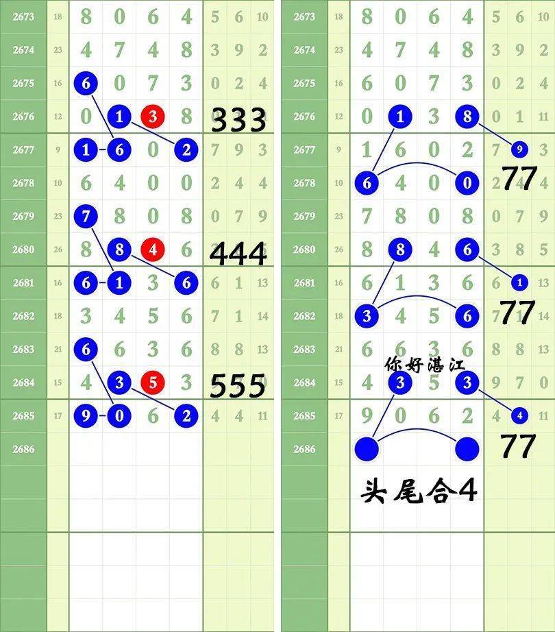 一肖三碼王中王絕密，揭秘背后的秘密與策略洞察，揭秘一肖三碼王中王絕密策略與背后秘密
