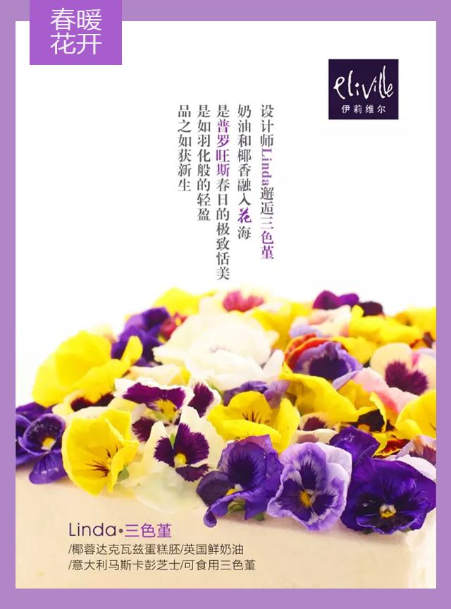 王中王339期指一生肖——探尋背后的秘密與玄機(jī)，探尋王中王339期生肖背后的秘密與玄機(jī)