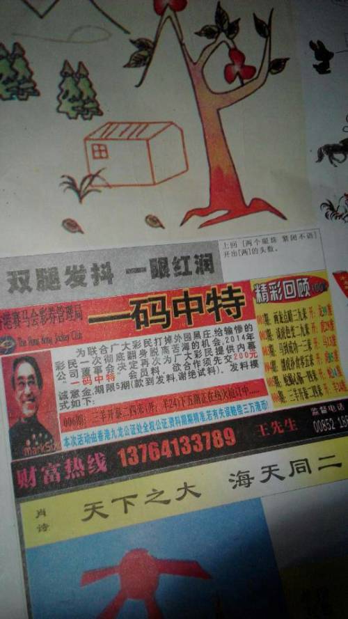 欲錢詩(shī)猜一肖——探尋王中王的奧秘，探尋王中王的奧秘，欲錢詩(shī)猜一肖