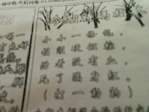 揭秘劉伯溫的一肖一特，探尋神秘傳奇背后的真相，劉伯溫傳奇揭秘，揭秘生肖之謎與獨特特質(zhì)背后的真相