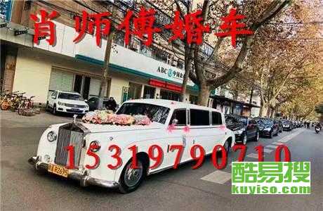 王中王車奪平特一肖免費(fèi)——深度解析與探索，王中王車奪平特一肖，深度解析與免費(fèi)探索