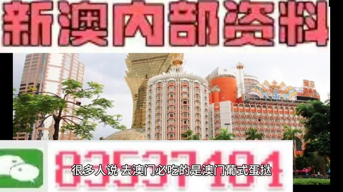 探索未來，2025年新澳門免費資料概覽，探索未來，2025新澳門免費資料概覽