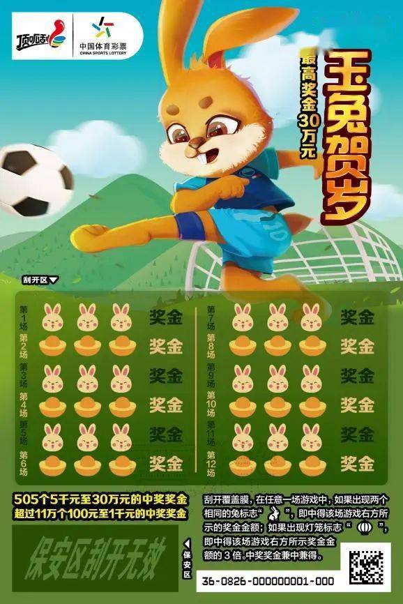 王中王一肖中特兔費(fèi)，探索關(guān)鍵詞背后的奧秘，探索關(guān)鍵詞王中王一肖中特兔費(fèi)背后的奧秘