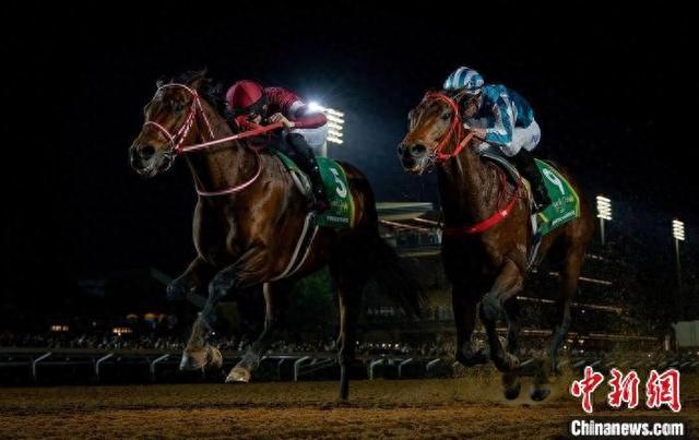 香港王中王一肖中特馬，探索背后的奧秘，香港王中王一肖中特馬背后的奧秘探索