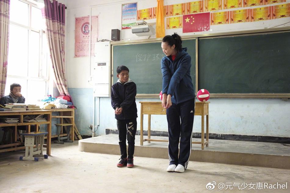 王中王平特一肖一大公開，深度解析與探索，王中王平特一肖公開，深度解析與探索揭秘