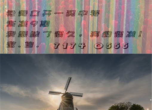 王中王四肖三期必出一期，揭秘彩票背后的秘密策略與技巧，揭秘彩票策略與技巧，王中王四肖三期必出一期之道