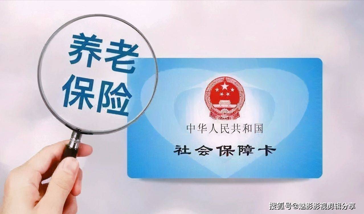 揭秘王中王一期一肖特中獎背后的秘密，王中王一期一肖特中獎背后的秘密揭秘