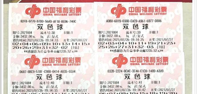 王中王084期指一生肖，解讀背后的秘密與生肖運勢分析，王中王084期生肖揭秘，秘密解讀與運勢展望