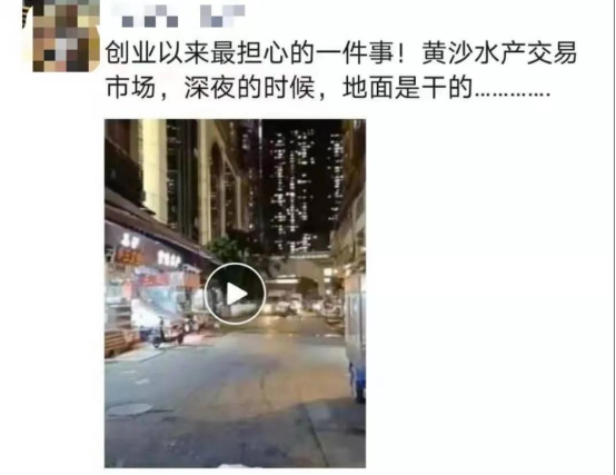 好料盡在王中王——揭秘生肖運勢的獨特魅力，揭秘生肖運勢獨特魅力，王中王好料大解密