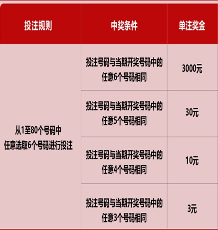 新澳門六開彩天天開獎(jiǎng)結(jié)果，揭秘彩票背后的秘密，揭秘新澳門六開彩天天開獎(jiǎng)背后的秘密