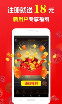 王中王的一肖，探尋背后的奧秘與故事，王中王的一肖，揭秘背后的奧秘與傳奇故事