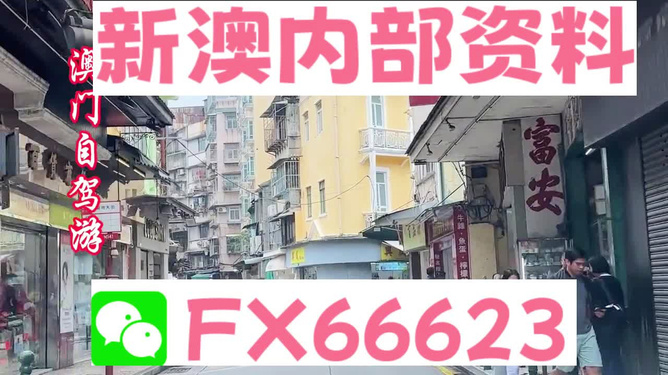 新澳精準(zhǔn)資料免費(fèi)提供，探索與利用資源助力成功，新澳精準(zhǔn)資料免費(fèi)分享，助力成功探索與利用資源