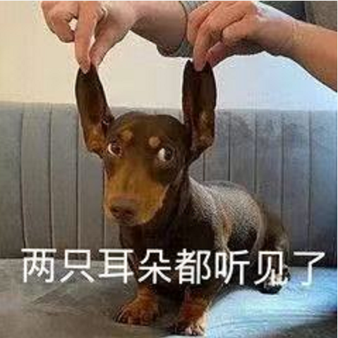 王中王四不象必中一肖，揭秘背后的秘密與策略，揭秘王中王四不象必中一肖背后的秘密與策略之道