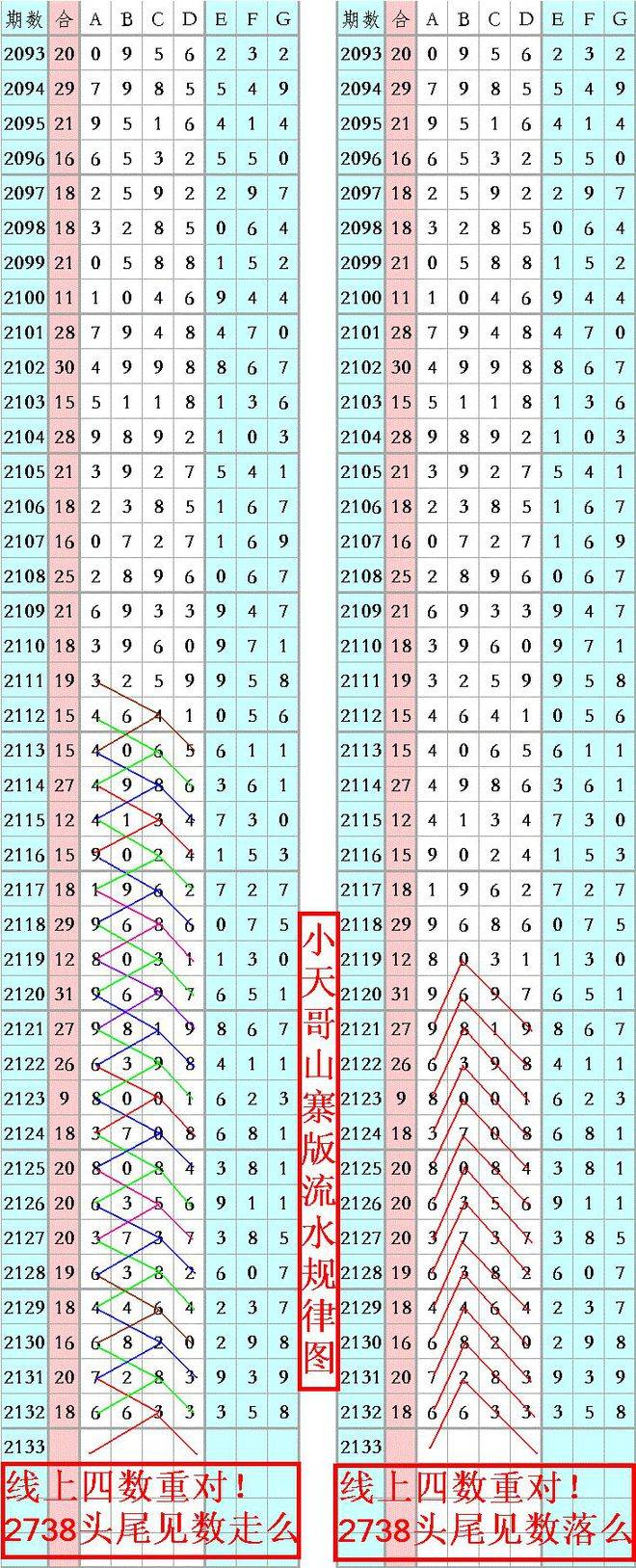 王中王資料一肖正特馬，深度解析與探索，王中王資料一肖正特馬深度解析與探索揭秘