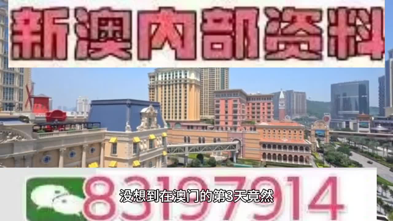 新澳門(mén)今晚必開(kāi)一肖一特，探索生肖與特碼的魅力，澳門(mén)生肖特碼探索，今晚必開(kāi)一肖一特之魅力
