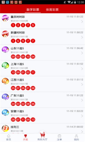 一碼一肖，揭秘背后的秘密與探索其獨特魅力，揭秘一碼一肖背后的秘密與獨特魅力探索
