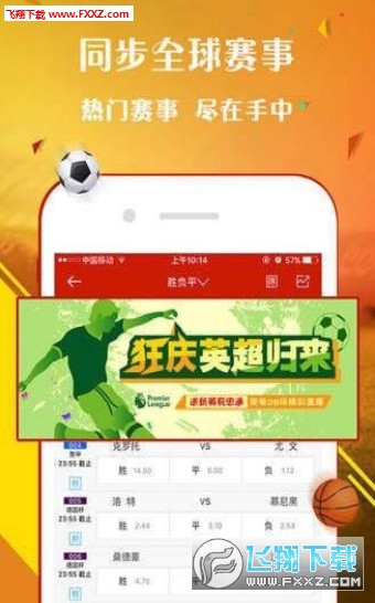 王中王一肖，歡迎您的到來，探索無與倫比的精彩世界，王中王一肖，探索無與倫比的精彩世界之旅