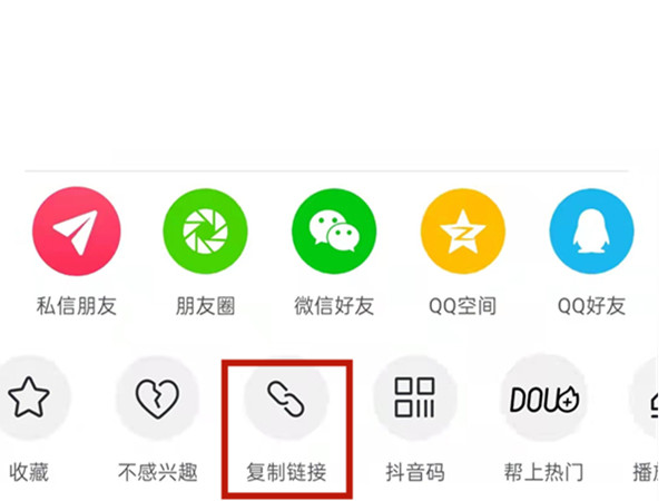 白小姐王中王中特一肖，神秘傳奇與SEO探索，神秘傳奇與SEO探索，白小姐王中王中特一肖的奧秘