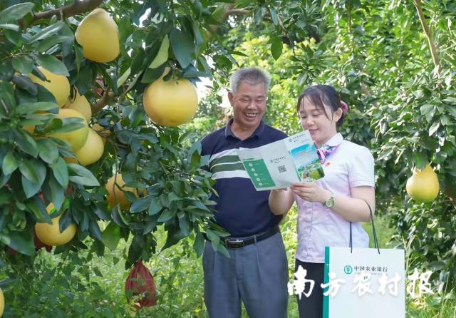 資料大全正版資料2025，一站式獲取所有你需要的信息，資料大全正版資料2025，一站式獲取所有信息總匯
