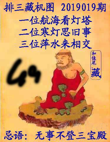 王中王019期指一生肖，深度解讀與SEO優(yōu)化策略，王中王019期生肖深度解讀與SEO策略優(yōu)化指南
