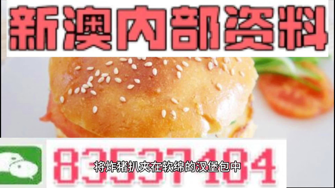 2025新澳正版資料精準(zhǔn)解析，2025新澳正版資料精準(zhǔn)解析手冊