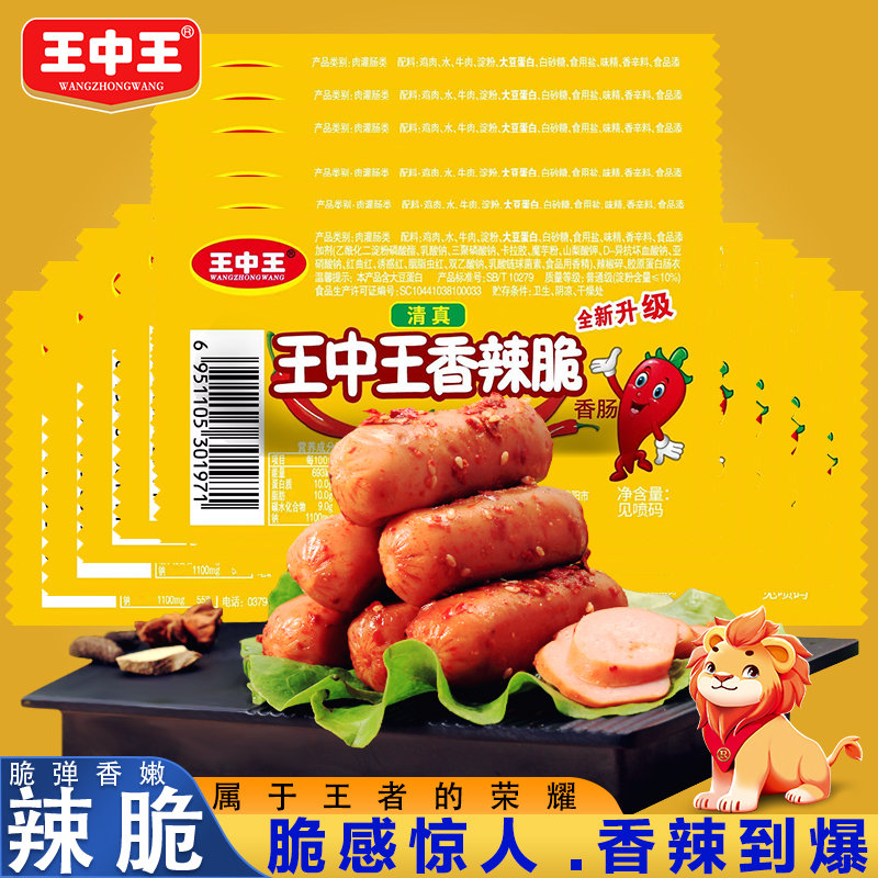 王中王資料一y肖中，深度解析與探索，王中王資料一y肖中深度解析與探索揭秘