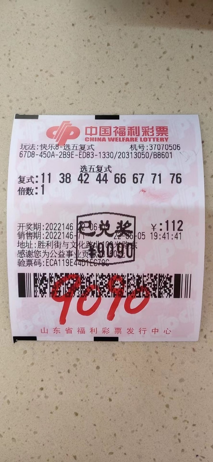 揭秘002期王中王平特一肖，背后的故事與奧秘，揭秘王中王平特一肖背后的故事與奧秘（第002期）