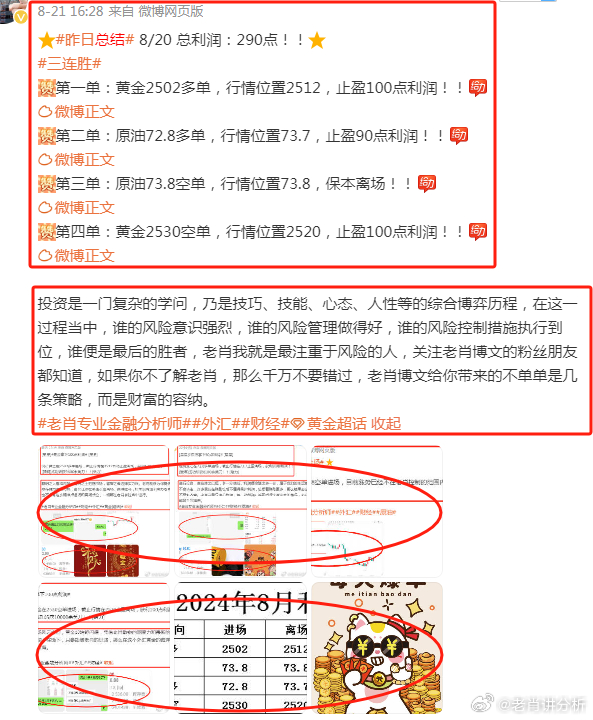 王中王富婆中一肖——揭秘背后的故事與真相，揭秘王中王富婆中一肖背后的真相與故事