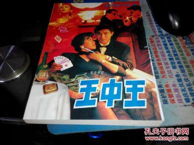 王中王資料一肖中特小說(shuō)，深度解析與探索，王中王資料一肖中特小說(shuō)的深度解析與探索之旅