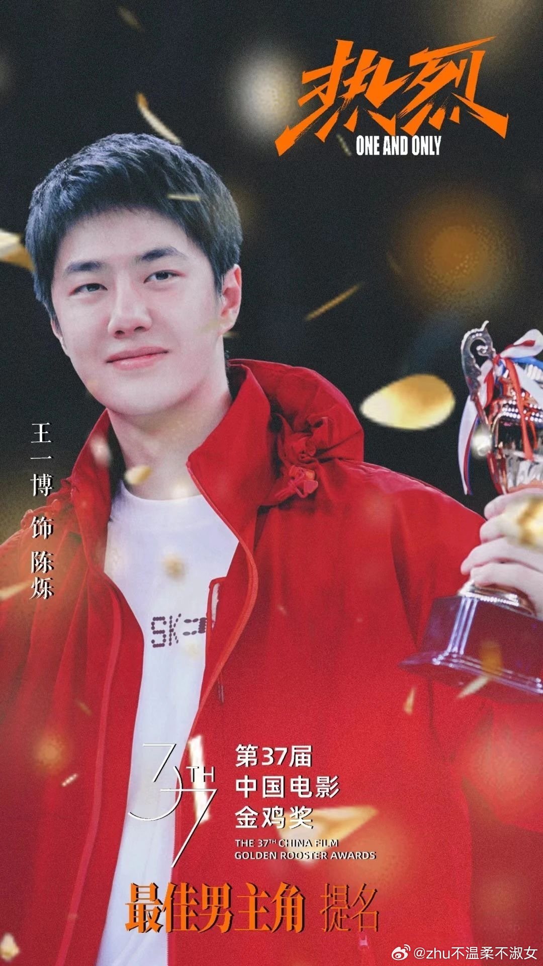 王中王一肖一特一中一中，探尋背后的故事與奧秘，探尋王中王一肖背后的故事與奧秘