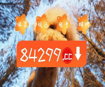 澳門彩票 第4頁