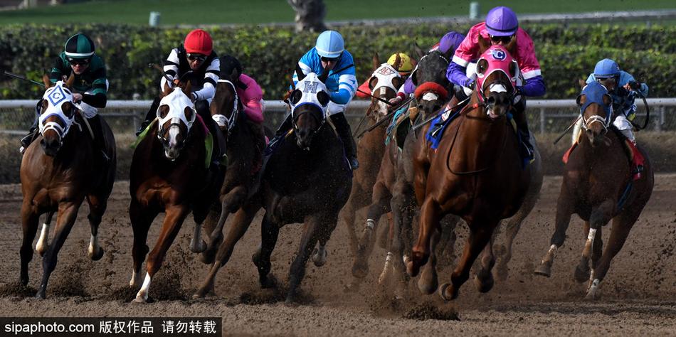 王中王與一馬中特，探尋生肖之魅力——關于生肖屬相的獨特解讀，揭秘生肖魅力，王中王與一馬中特的獨特解讀
