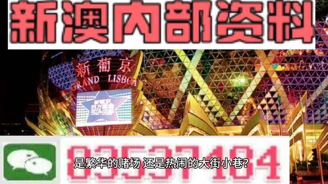 新澳門精準資料大全管家婆料，探索與解析，澳門精準資料大全解析，探索管家婆料內(nèi)幕