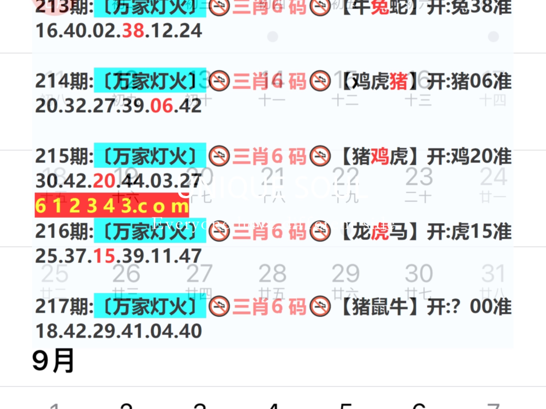 新奧今日六肖中特，揭秘背后的秘密與趨勢分析，揭秘新奧今日六肖中特背后的秘密與趨勢分析
