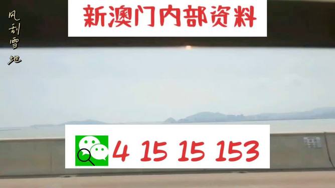新澳2025最新資料生肖，深度解析與預測展望，新澳2025最新生肖資料深度解析與未來預測展望