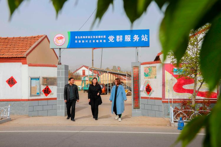 2025新澳天天開彩大全——衣冠群獸探秘，2025新澳天天開彩大全，衣冠群獸探秘之旅