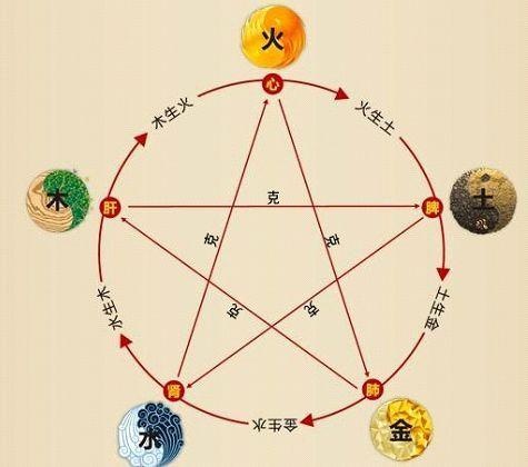 鐵算算盤4887最準資料，揭秘其背后的秘密與優(yōu)勢，揭秘鐵算算盤4887，最準資料背后的秘密與優(yōu)勢