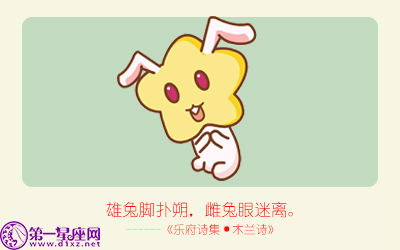 揭秘精準(zhǔn)生肖，探尋神奇的數(shù)字組合777778與888888背后的生肖秘密，揭秘生肖秘密，數(shù)字組合777778與888888背后的生肖傳奇