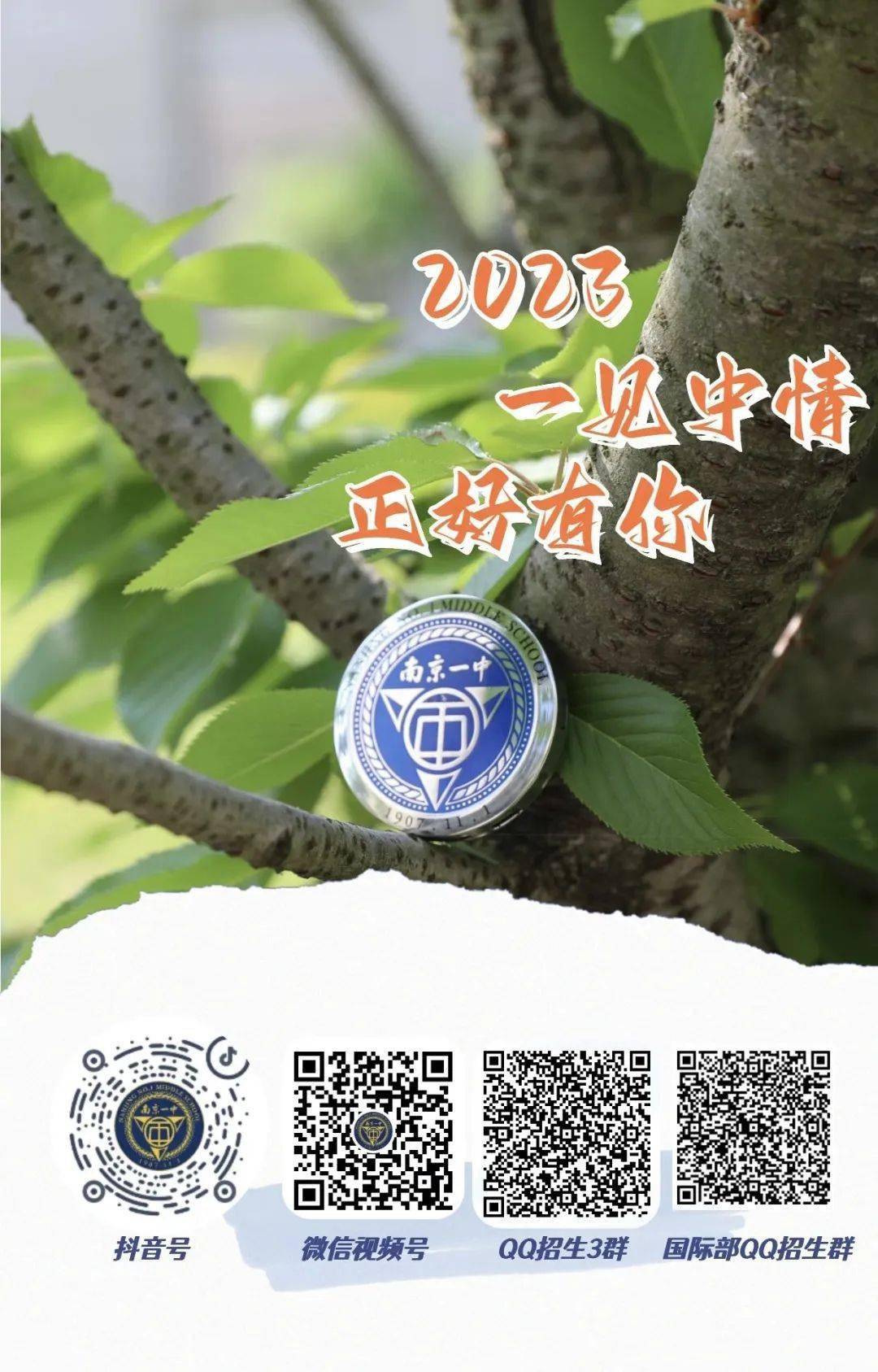 一碼一肖一特一中，揭秘背后的秘密與奧秘，揭秘一碼一肖一特一中背后的秘密奧秘