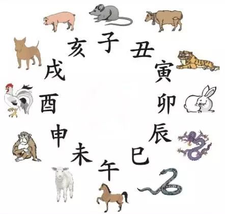 澳門(mén)天天彩期期精準(zhǔn)十二生肖預(yù)測(cè)——揭秘彩票秘密，澳門(mén)天天彩期期精準(zhǔn)十二生肖預(yù)測(cè)，揭秘彩票秘密之獨(dú)家解析