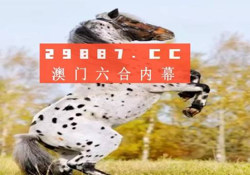 白小姐的精準免費四肖，揭秘背后的秘密，揭秘白小姐精準免費四肖背后的秘密