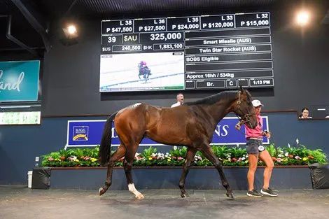 香港最精準的特馬資料，揭秘賽馬世界的秘密，香港精準特馬資料揭秘，賽馬世界的奧秘探秘