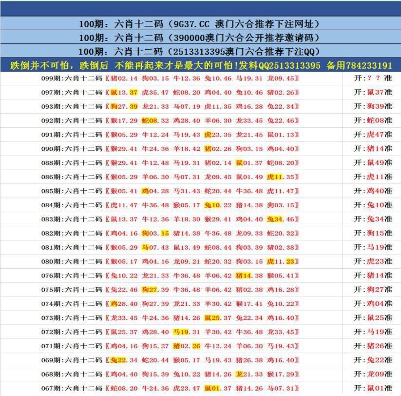 澳門無錯九肖今日搜狗，探索與解析，澳門無錯九肖今日搜狗，深度解析與探索