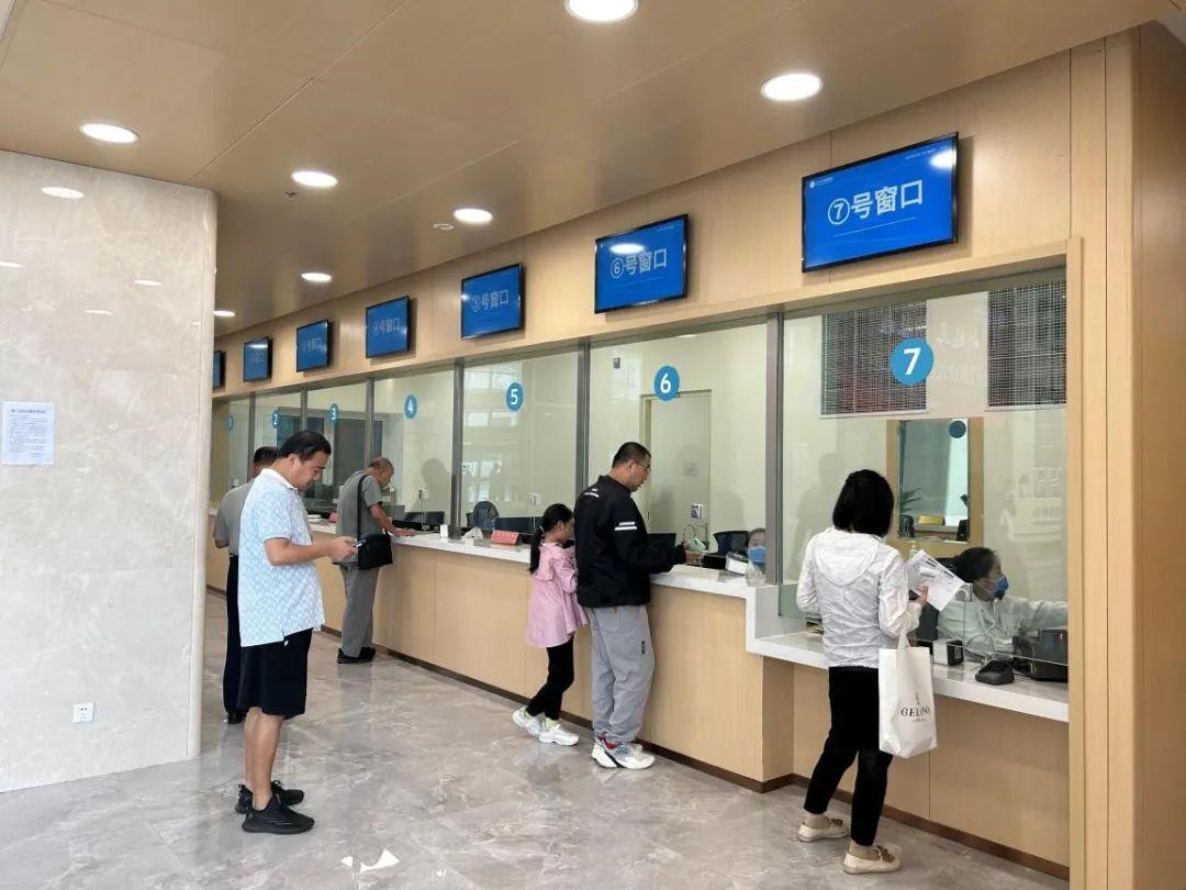 新門內(nèi)部資料免費(fèi)下載——探索與揭秘，新門內(nèi)部資料揭秘，免費(fèi)下載與探索之旅